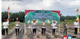 Polres Barito Kuala dukung swasembada pangan nasional dengan penanaman jagung