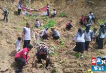 Warga Gunung Batu tanam 500 bibit pohon cegah longsor