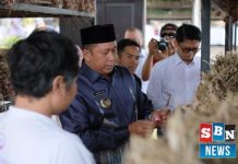TPID Batola belajar teknik budidaya Bawang Merah di Bali