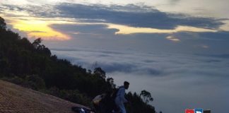 Taman Hutan Raya (Tahura) Sultan Adam, lebih dari sekedar hutan hijau