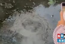 Semburan gas misterius gegerkan warga Guntung Papuyu, Gambut