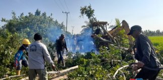 Warga Purwosari Baru bersihkan ruas jalan Taman Sari Bunga, cegah kecelakaan