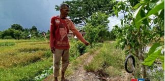 Jalan tani rusak parah, petani Desa Labuan Tabu kesulitan distribusikan hasil panen