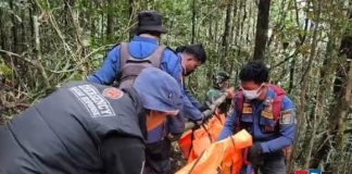 Tim SAR gabungan evakuasi seluruh korban Helikopter Eastindo Air di hutan belantara Tanah Bumbu