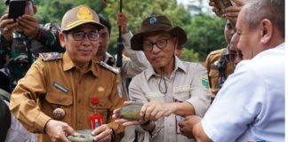 Panen raya Papuyu di Karang Intan, Bukti sukses inovasi “Intan Sikapayu” dongkrak ekonomi lokal