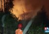 Karhutla landa Barito Kuala, tim gabungan berjibaku padamkan api di tengah hutan