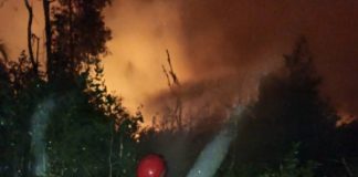 Karhutla landa Barito Kuala, tim gabungan berjibaku padamkan api di tengah hutan