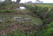 Sungai Tembingkar : Dulu jalur transportasi, kini menanti sentuhan pemerintah