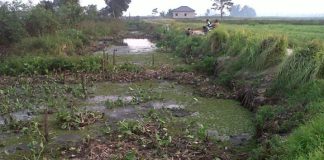 Sungai Tembingkar : Dulu jalur transportasi, kini menanti sentuhan pemerintah