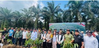 Relokasi masyarakat Tesso Nilo dilaksanakan, Menhut: Jadi percontohan kembalikan hutan konservasi