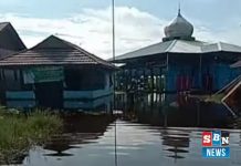 Puluhan rumah di Desa Antasan Segera terendam Banjir, 277 jiwa terdampak
