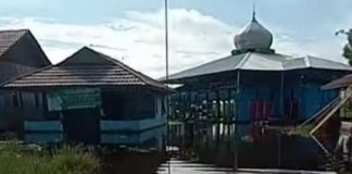 Puluhan rumah di Desa Antasan Segera terendam Banjir, 277 jiwa terdampak