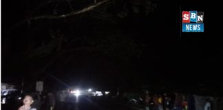 Warga Anjir Muara minta penanganan segera, Jalan Trans Kalimantan rawan kecelakaan malam hari