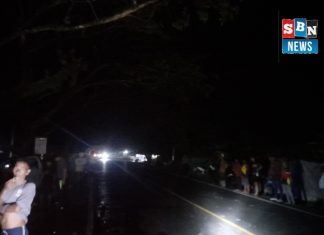 Warga Anjir Muara minta penanganan segera, Jalan Trans Kalimantan rawan kecelakaan malam hari