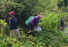 Warga Labuan Tabu gelar kerja bakti, bersihkan aliran Sungai Gang Mundam demi kelancaran pertanian