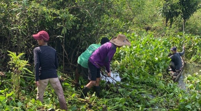 Warga Labuan Tabu gelar kerja bakti, bersihkan aliran Sungai Gang Mundam demi kelancaran pertanian