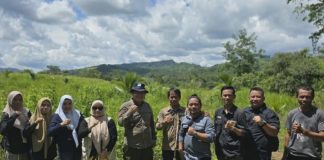 Dinas Pertanian Banjar kembangkan Padi Gogo Beras Merah di Sungai Pinang