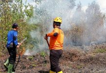 Lahan Gambut rawan terbakar, ini langkah antisipasi BPBD Banjar