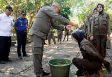 30 personel P3K resmi menjadi anggota Satpol PP Kab. Banjar lewat prosesi pembaretan