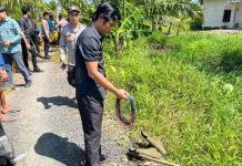 Tragedi penyetruman ikan: Pria 40 tahun tewas di Sungai Marabahan