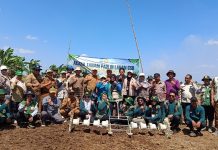 Cetak sawah rakyat Banjar adopsi teknologi pertanian modern