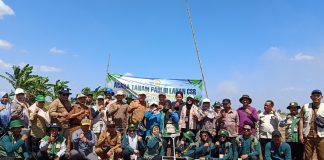 Cetak sawah rakyat Banjar adopsi teknologi pertanian modern