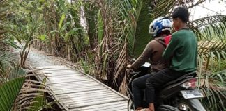Jalan penghubung 6 wilayah di Aluh-Aluh rusak, Pemdes Terapu minta perhatian