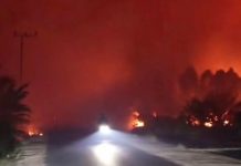 Karhutla melanda Desa Banyiur, Jalur Trans-Kalimantan terganggu asap pekat