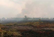 Sulitnya sumber air hambat pemadaman karhutla di Sungai Pinang Baru