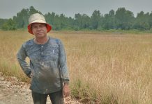 Desa Terapu: Lumbung Padi yang kini tinggal cerita