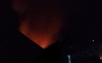 Eks pasar burung dilalap si jago merah