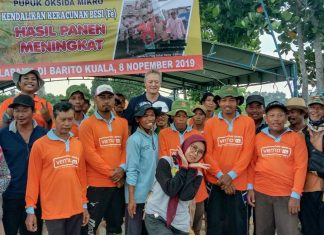 Teknologi pupuk oksida mikro Norwegia, solusi petani lahan rawa