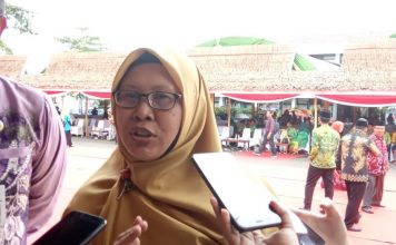 Dinkes Batola : Angka kematian ibu melahirkan nol persen,