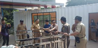Hijaukan Banjarmasin dengan membudayakan menanam pepohonan