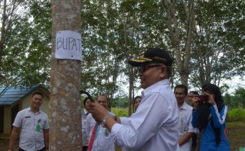 Bupati H Ansahruddin bangga pelajar mampu kembangkan lahan karet dan produktif