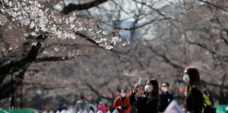Jepang mengkonfirmasi 14 kasus coronavirus di pusat medis : Kyodo