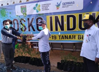 Pemprov. Kalsel, serahkan bantuan bibit lombok untuk ASN Tanah Bumbu