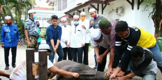 Idul Adha 1441 H, ASN di lingkup Pemkab Banjar sembelih 5 ekor hewan qurban