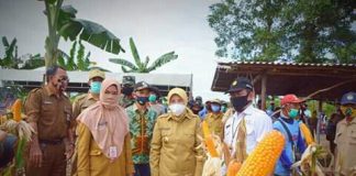 Bupati Batola Noormiliyani bahagia petani Sido Makmur sukses panen jagung