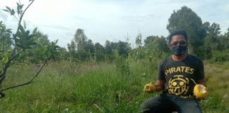 Budi warga asal Pulau Jawa, manfaatkan lahan kritis untuk kebun semangka dan sayuran