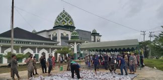Panitia Ibadah kurban Masjid Al Albar Balangan sembelih 3 ekor hewan kurban