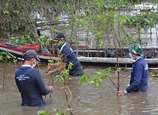 Kelompok nelayan Muara Canoco bersama SBI – ingin kelola ekowisata Mangrove Rambai