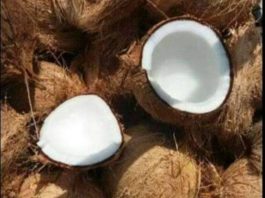 Pemasaran hasil perkebunan di Tabunganen belum.didukung infrastruktur yang memadai