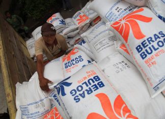 Distribusi masih belum jelas, serapan beras bulog menurun