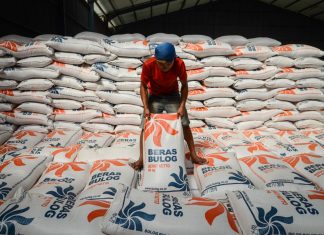 Berdirinya BPN takkan menggangu Forum Bulog selaku pengelola SP