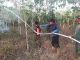 Sebanyak 4 hektar lahan sawit dan karet di Desa Pasiraman Kabupaten Banjar terbakar