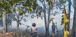 Angin kencang, titik api di Desa Bincau sulit dipadamkan petugas dan relawan pemadam kebakaran Kabupaten Banjar