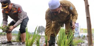 Pastikan ketersediaan pangan, Wakil Bupati Habib Idrus Al-Habsyie dan Forkopimda, lakukan tanam padi di Desa Sungai Rangas