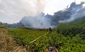 Di Desa Melayu Ilir, petugas BPBD harus menyebarang sungai untuk padamkan karhutla