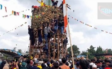 Ratusan warga rebutan buah Nenas di Festival Buah Nenas Mekarsari 2023